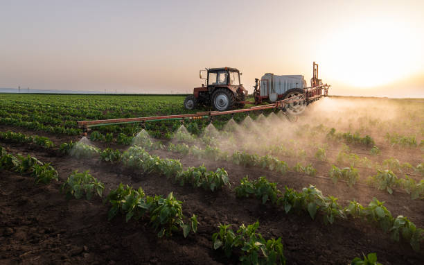 Best Wildlife Control Services  in Georgetown, TX
