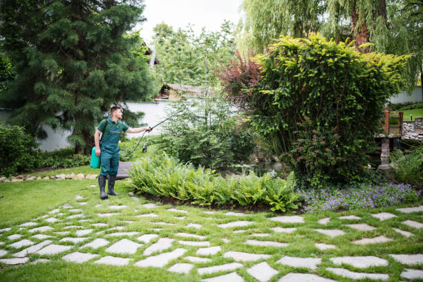 Best Pest Control Near Me  in Georgetown, TX