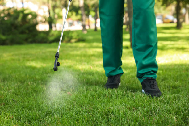  Georgetown, TX Pest Control Pros