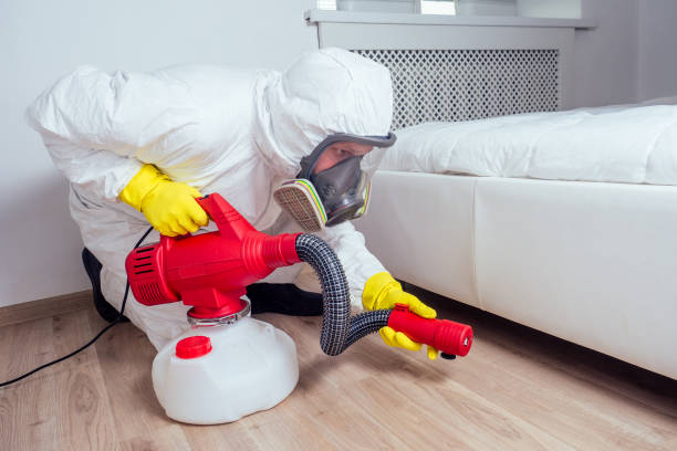 Reliable Georgetown, TX Pest Control Solutions