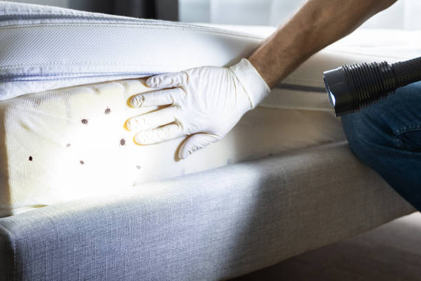 Pest Prevention Services in Georgetown, TX