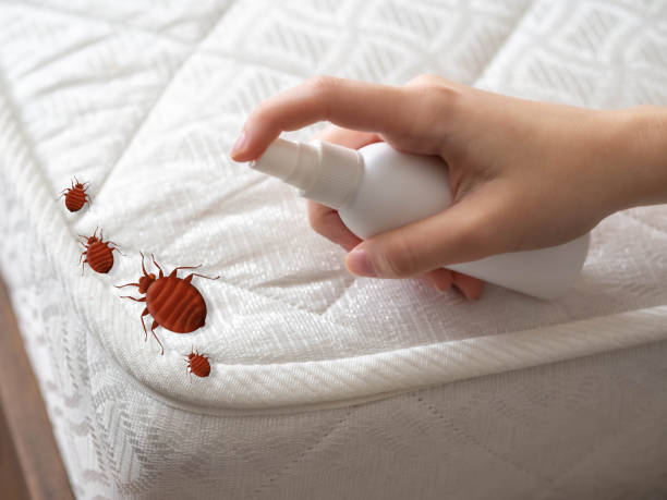 Best Commercial Pest Control Services  in Georgetown, TX